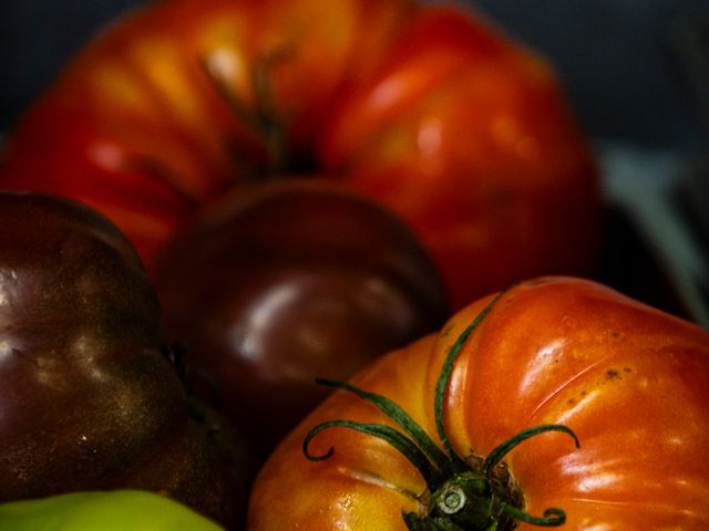 La Gentilhommière - Nancy DSC_6088.jpg